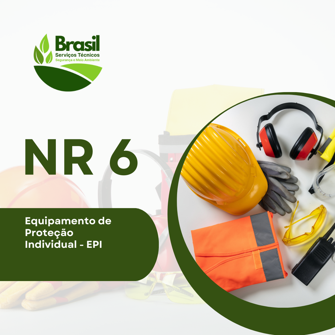 NR 6 - Equipamento de Proteção Individual - EPI